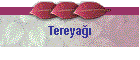 Tereyağı